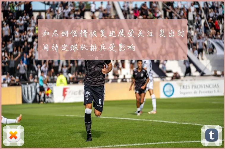 加尼姆伤情恢复进展受关注 复出时间待定球队排兵受影响