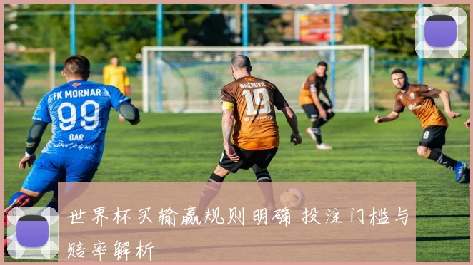 世界杯买输赢规则明确 投注门槛与赔率解析