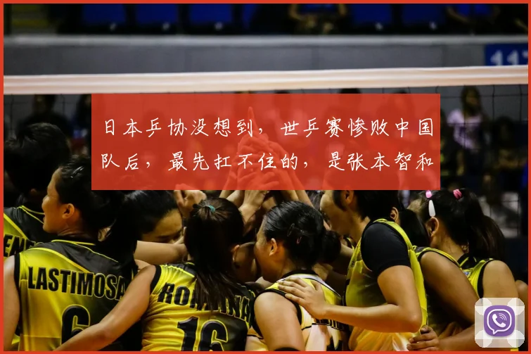 日本乒协没想到,世乒赛惨败中国队后,最先扛不住的,是张本智和